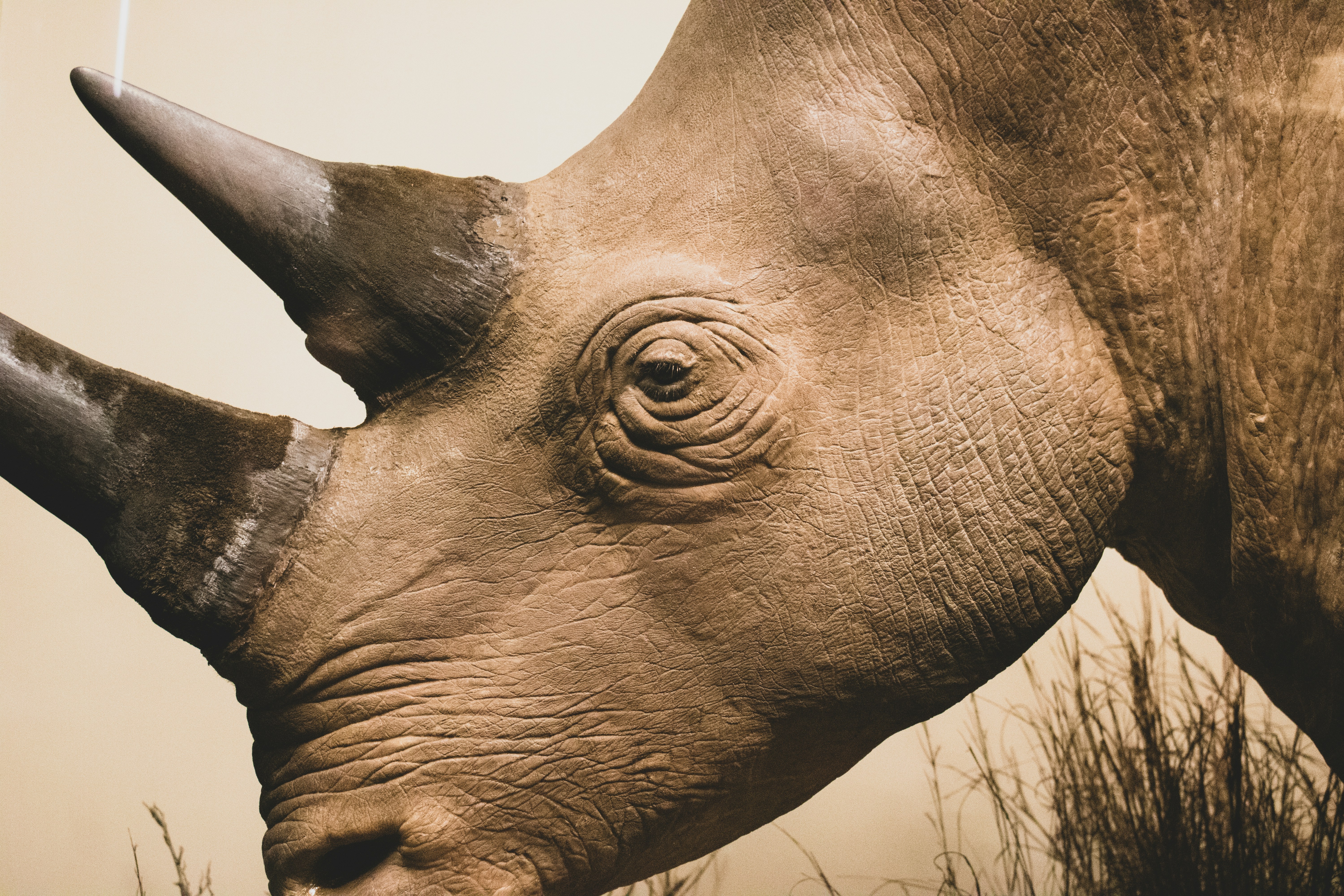 Rhinoplasty abroad insurance nose job abroad insurance